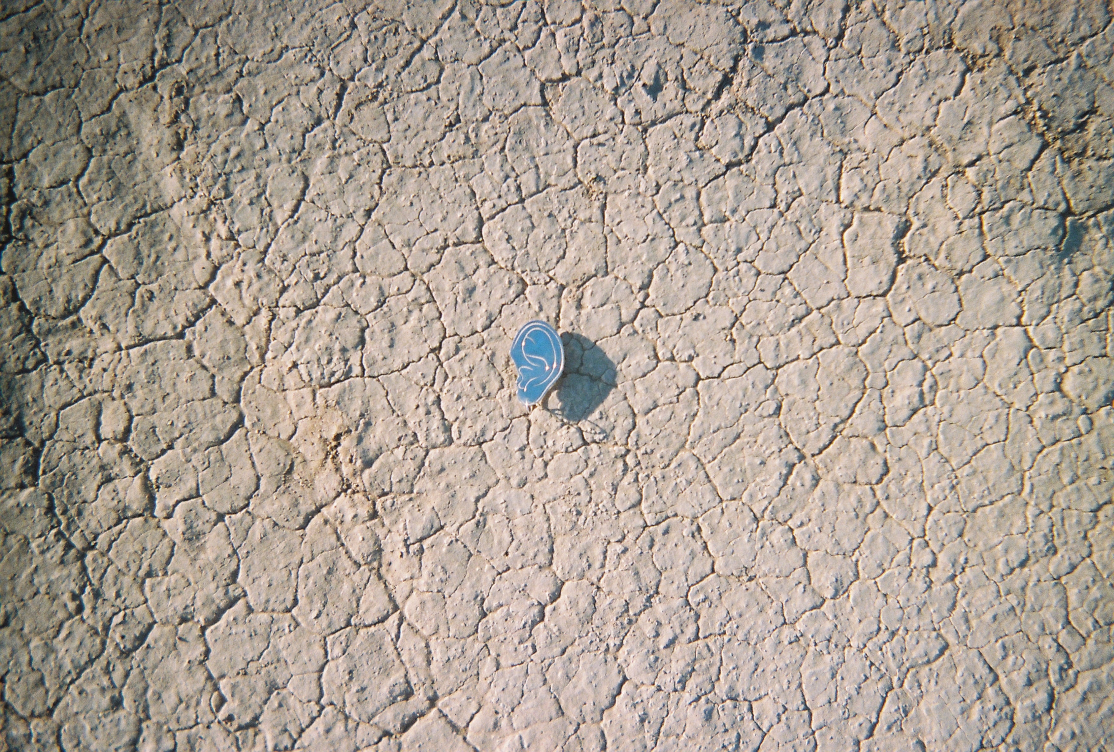 Image description